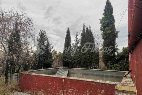 Landejendom i Yecla, Murcia, Yecla - € 119.995 | Ref: SF0443 - foto 36